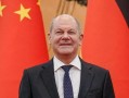 智商倒数前十名的狗_狗智商倒数游戏攻略