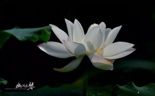 江油青莲桃花山_青莲桃花山游戏攻略