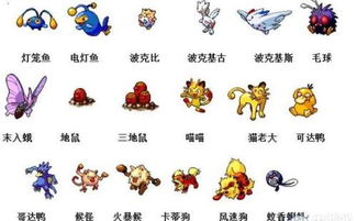 dnf宠物进化需要什么_dnf宠物进化需要什么东西-第1张图片-游点攻略