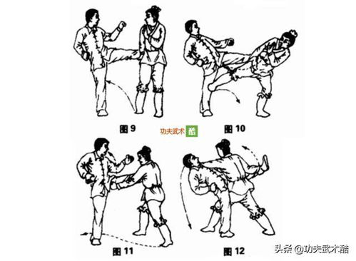 格斗系宝可梦用什么克制_格斗系宝可梦被什么克制-第2张图片-游点攻略
