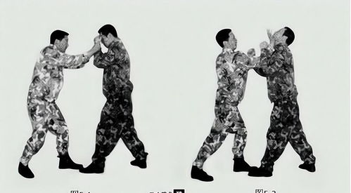 格斗系宝可梦用什么克制_格斗系宝可梦被什么克制-第1张图片-游点攻略