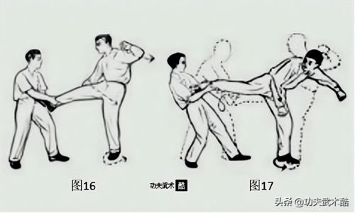 格斗系宝可梦用什么克制_格斗系宝可梦被什么克制-第3张图片-游点攻略