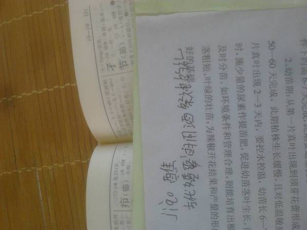 战拼音游戏攻略视频_战汉语拼音怎么写-第2张图片-游点攻略