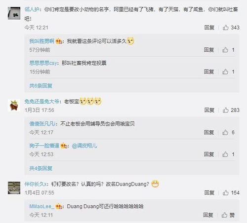 csgo改名卡在哪里买_csgo改名卡在哪里买比较好-第1张图片-游点攻略