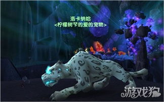 小猎人计划游戏攻略视频_小猎人计划游戏攻略-第2张图片-游点攻略