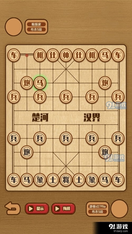 象棋女大师游戏攻略_象棋女大师图片-第1张图片-游点攻略