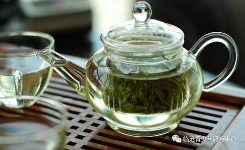 绿茶快穿攻略文_快穿游戏绿茶版攻略-第1张图片-游点攻略