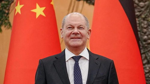 智商倒数前十名的狗_狗智商倒数游戏攻略-第1张图片-游点攻略